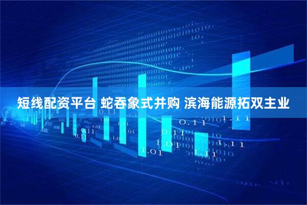 短线配资平台 蛇吞象式并购 滨海能源拓双主业