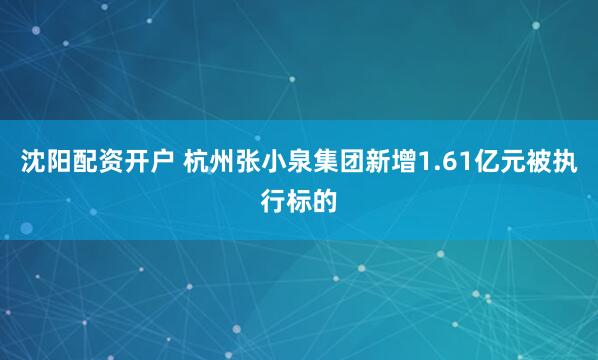 沈阳配资开户 杭州张小泉集团新增1.61亿元被执行标的