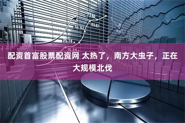 配资首富股票配资网 太热了,南方大虫子,正在大规模北伐